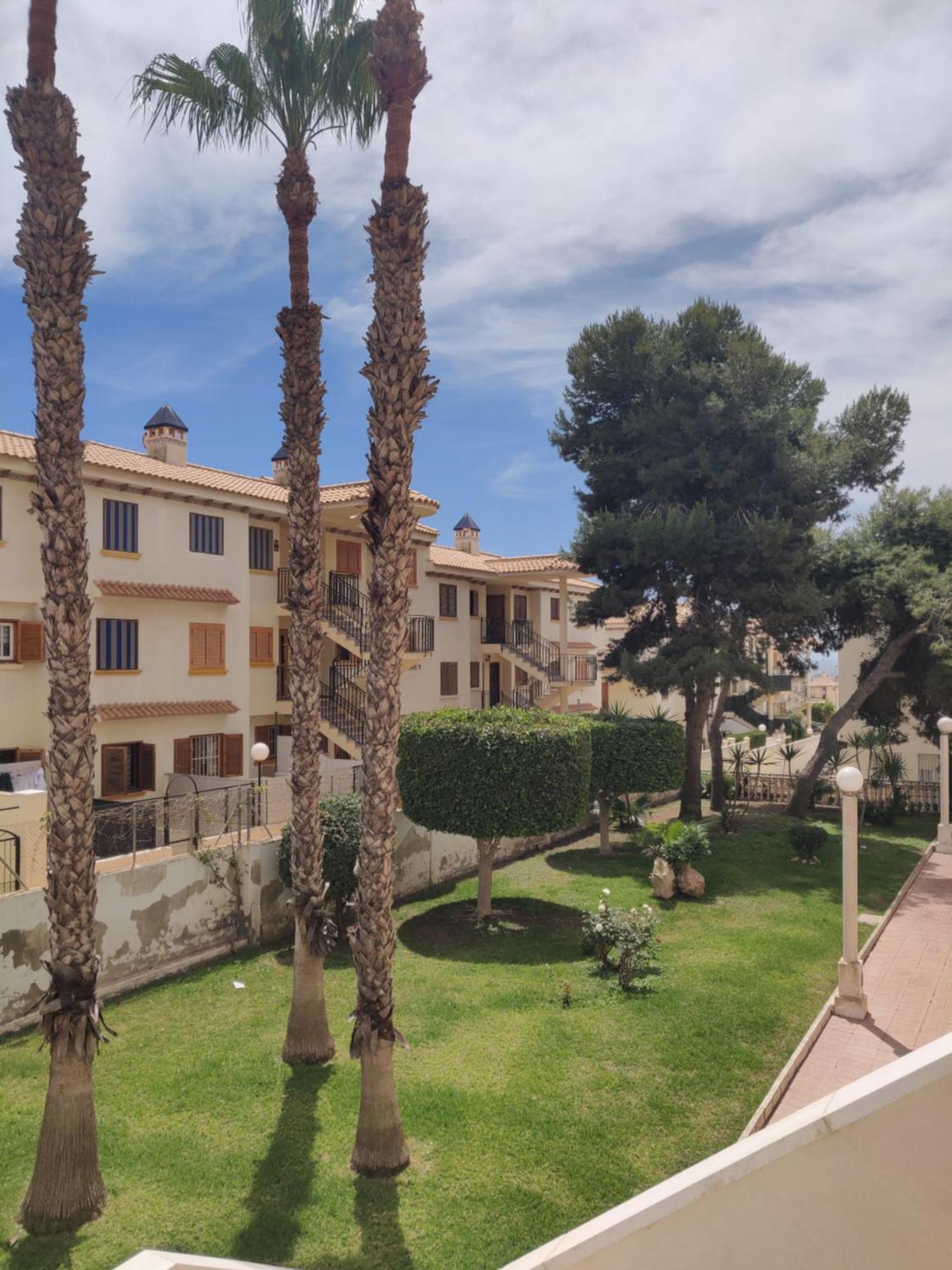 Apartamentos Soleados Cerca De La Playa La Mata Торевиеха Екстериор снимка