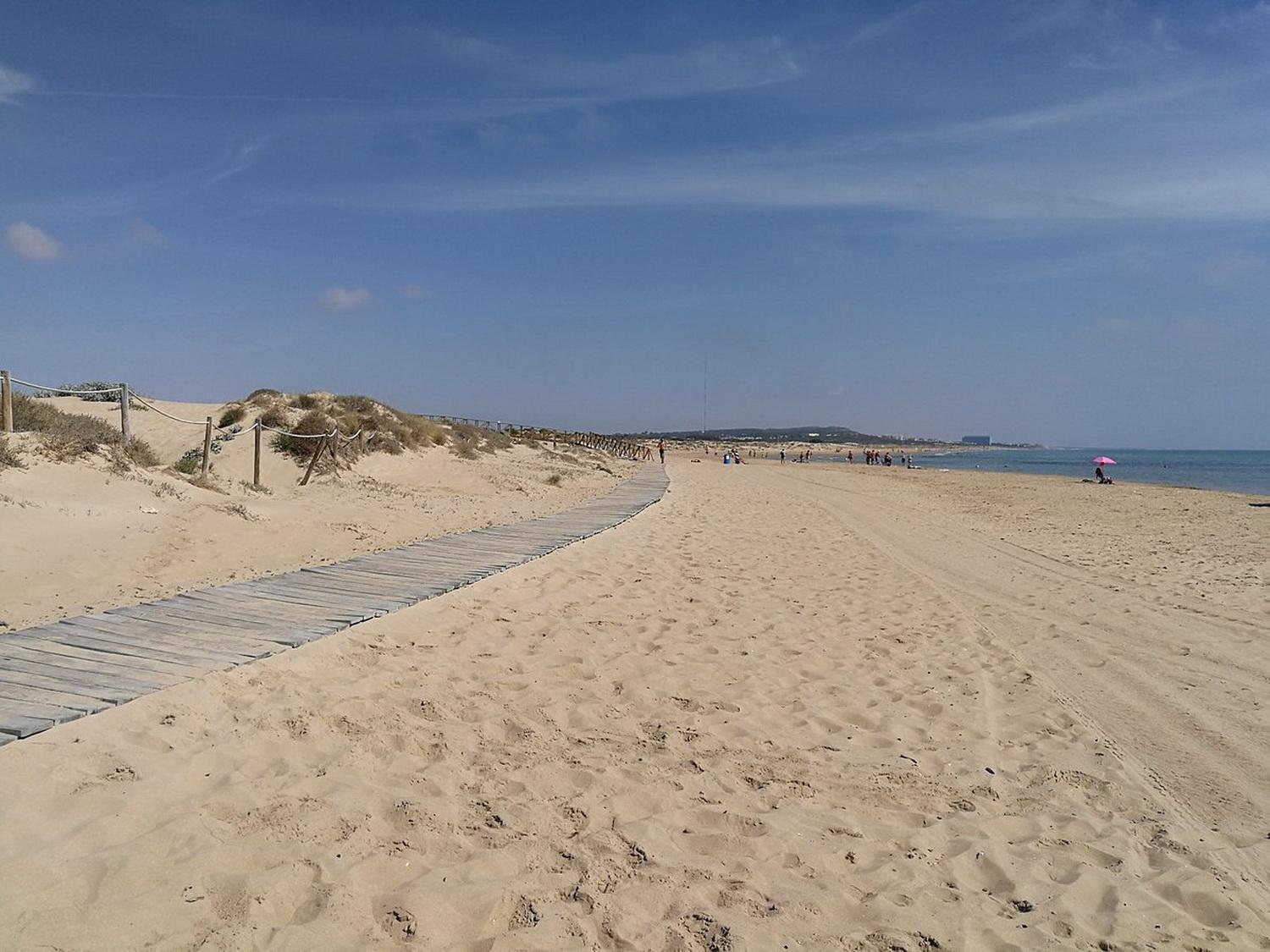 Apartamentos Soleados Cerca De La Playa La Mata Торевиеха Екстериор снимка